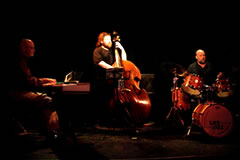 Membres du groupe Patrick Mulli Trio : Jazz  Bebop