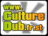 Le Fanzine consacr  la culture Dub Ragga Reggae